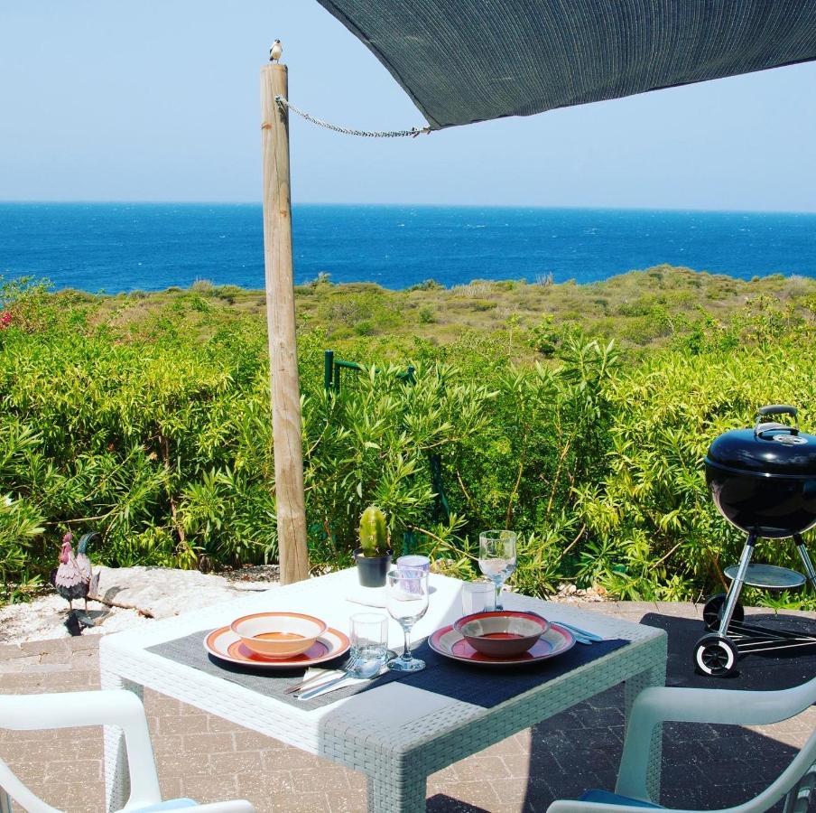 Vip Caribbean Views 300 Meters To The Coral Estate Beach Willibrordus Экстерьер фото