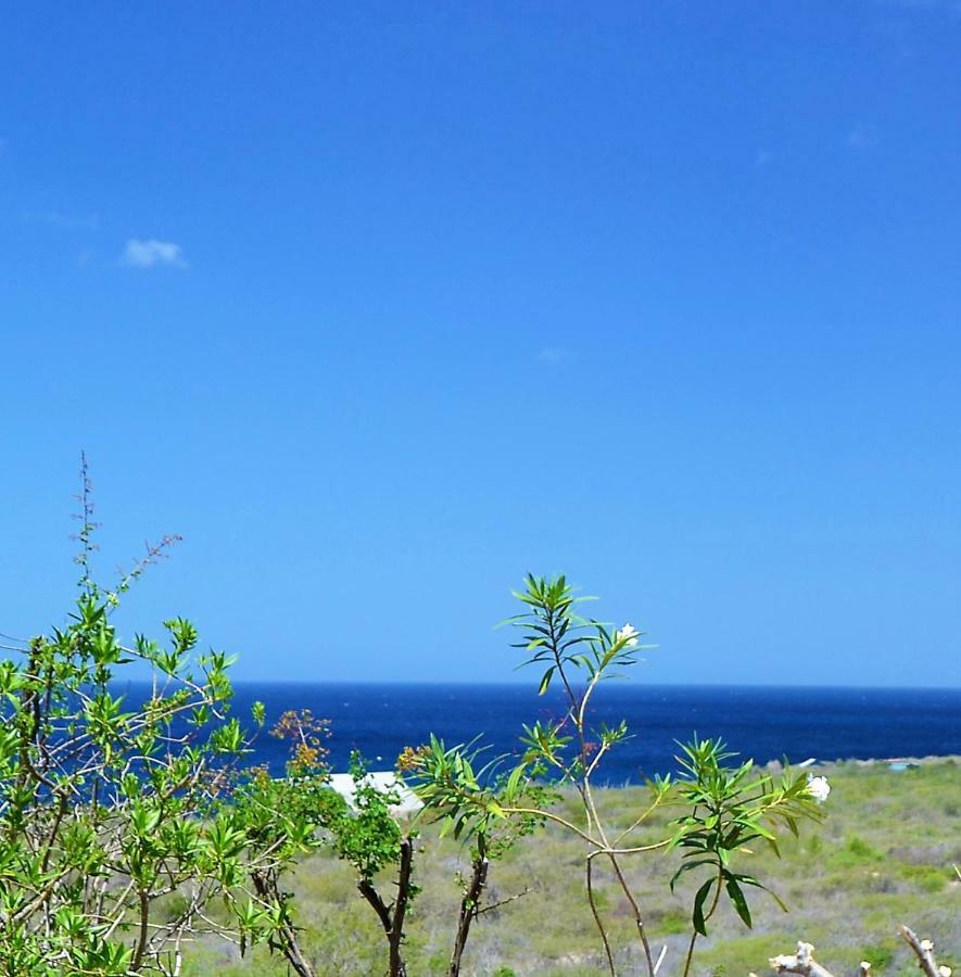 Vip Caribbean Views 300 Meters To The Coral Estate Beach Willibrordus Экстерьер фото
